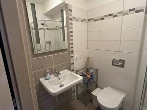 Pronájem bytu 2+kk, Praha - Vysočany, Freyova, 42 m2