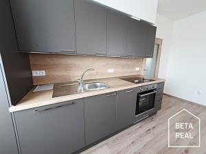 Pronájem bytu 2+kk, Brno, Plotní, 57 m2