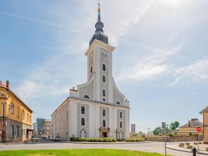 Prodej rodinného domu, Javorník, Polská, 100 m2