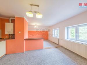 Pronájem bytu 1+kk, Krnov, Nádražní, 30 m2