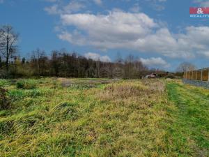 Prodej pozemku pro bydlení, Františkovy Lázně - Žírovice, 1000 m2