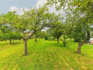 Prodej rodinného domu, Tučapy, 98 m2