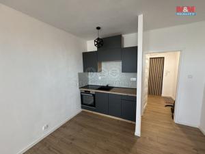 Pronájem bytu 1+kk, Karviná, tř. 17. listopadu, 31 m2