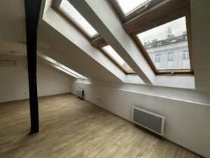 Pronájem bytu 1+kk, Praha - Vinohrady, Rumunská, 46 m2