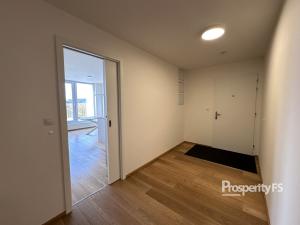 Pronájem bytu 4+kk, Brno - Trnitá, Placzkova, 158 m2