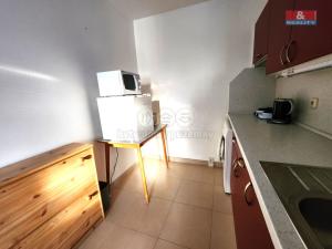 Prodej bytu 1+kk, Louny, Lipová, 33 m2