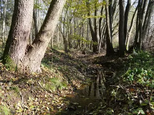 Prodej pozemku pro bydlení, Doubravčice, Na Dubině, 2440 m2