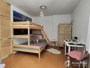 Prodej bytu 1+kk, Harrachov, 29 m2