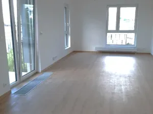 Pronájem bytu 1+kk, Liberec, U Nisy, 54 m2