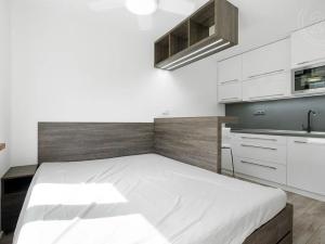 Pronájem bytu 1+kk, Děčín, Pohraniční, 20 m2