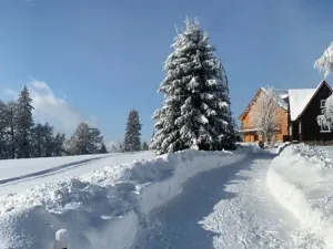 Prodej rodinného domu, Janské Lázně, Janská, 100 m2