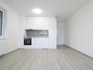 Pronájem bytu 2+kk, Plzeň, Heyrovského, 56 m2