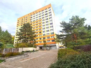 Pronájem bytu 1+kk, Brno, Halasovo náměstí, 26 m2