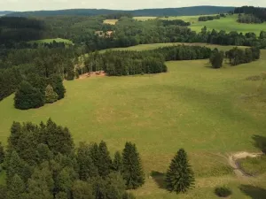 Dražba louky, Březová, 7363 m2