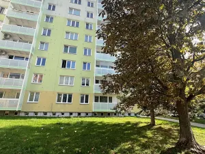 Prodej bytu 1+kk, Brno, Strnadova, 33 m2