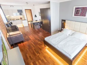 Pronájem bytu 1+kk, Praha - Nové Město, Na slupi, 52 m2