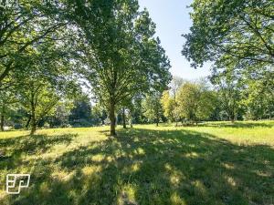 Pronájem komerčního pozemku, Jeníkov, 13072 m2