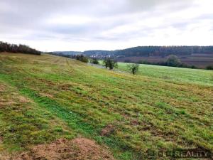 Prodej pozemku, Budyně nad Ohří, 1925 m2