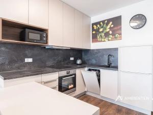 Pronájem bytu 1+kk, Brno, Reissigova, 36 m2