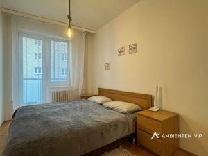 Pronájem bytu 2+kk, Brno, Mášova, 54 m2