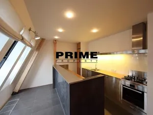 Pronájem bytu 4+kk, Praha - Staré Město, Pařížská, 203 m2