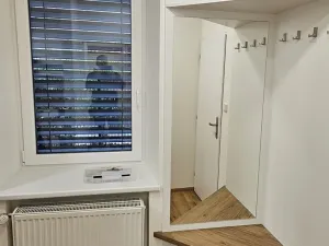 Pronájem bytu 1+kk, Brno, Šmejkalova, 37 m2