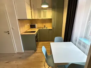 Pronájem bytu 1+kk, Praha - Krč, Budějovická, 30 m2