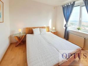 Pronájem bytu 2+kk, Praha - Vinohrady, U Zvonařky, 53 m2