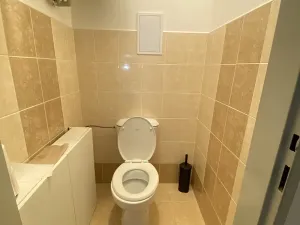 Pronájem bytu 2+kk, Holubice, Platanová, 99 m2