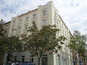 Pronájem bytu 1+kk, Praha - Vinohrady, Slavíkova, 30 m2