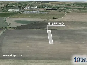 Prodej podílu pole, Kosořice, 667 m2