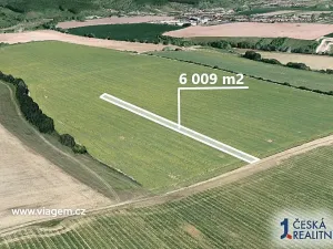 Prodej podílu pole, Uherský Brod, 1502 m2