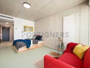 Pronájem bytu 1+kk, Brno, Dornych, 28 m2