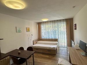 Pronájem bytu 1+kk, Brno - Štýřice, Vídeňská, 26 m2