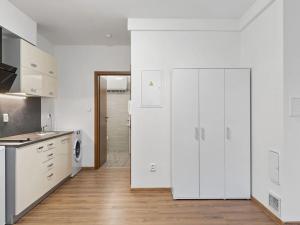 Prodej bytu 1+kk, Praha - Hloubětín, Kukelská, 20 m2