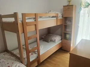 Prodej bytu 6+kk a větší, Gajac, Chorvatsko, 66 m2