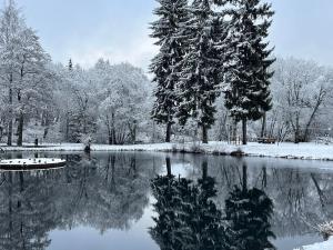 Prodej bytu 1+kk, Loučná pod Klínovcem, 40 m2