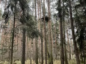 Prodej podílu pozemku, Hromnice, 15177 m2