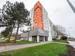 Prodej bytu 3+kk, Praha - Chodov, Bachova, 113 m2