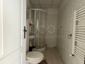 Prodej ubytování, Zásada, 600 m2