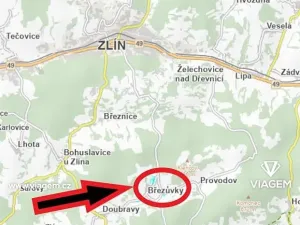 Prodej lesa, Březůvky, 1632 m2