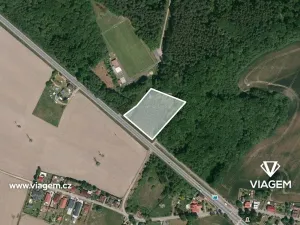 Prodej lesa, Týniště nad Orlicí, 4520 m2