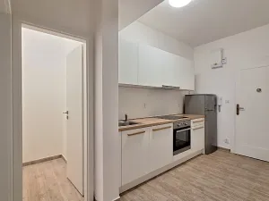 Pronájem bytu 2+1, Praha - Bubeneč, U zeměpisného ústavu, 46 m2