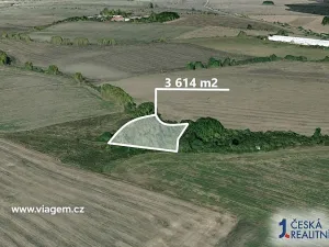 Prodej podílu pole, Veliká Ves, 602 m2