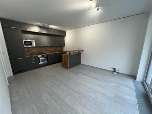 Pronájem bytu 2+kk, Brno, Trnitá, 54 m2