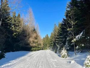 Prodej bytu 3+kk, Bedřichov, 100 m2