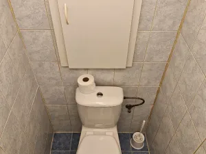 Pronájem bytu 1+kk, Praha - Žižkov, Pod lipami, 22 m2