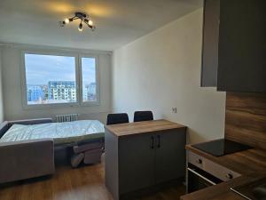 Pronájem bytu 1+kk, Praha - Chodov, Čenětická, 23 m2