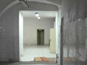 Pronájem obchodního prostoru, Prostějov, 200 m2