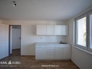 Pronájem bytu 1+kk, Tábor, Zavadilská, 22 m2